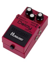 PEDAL BOSS DM-2W DELAY