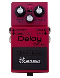 PEDAL BOSS DM-2W DELAY