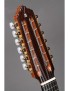 BANDURRIA ALHAMBRA MOD 6FC .867
