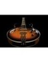 GUITARRA ELÉCTRICA IBANEZ AF75-BS BROWN SUNBURST