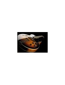 GUITARRA ELÉCTRICA IBANEZ AF75-BS BROWN SUNBURST