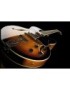 GUITARRA ELÉCTRICA IBANEZ AF75-BS BROWN SUNBURST