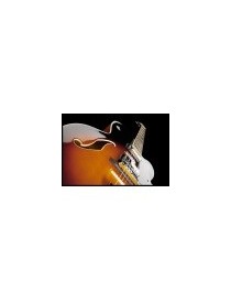 GUITARRA ELÉCTRICA IBANEZ AF75-BS BROWN SUNBURST