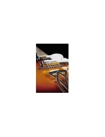 GUITARRA ELÉCTRICA IBANEZ AF75-BS BROWN SUNBURST