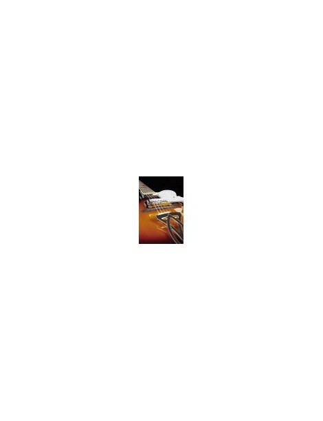 GUITARRA ELÉCTRICA IBANEZ AF75-BS BROWN SUNBURST