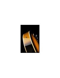 GUITARRA ELÉCTRICA IBANEZ AF75-BS BROWN SUNBURST