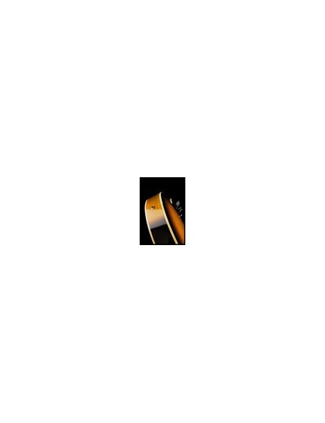 GUITARRA ELÉCTRICA IBANEZ AF75-BS BROWN SUNBURST