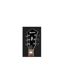 GUITARRA ELÉCTRICA IBANEZ AF75-BS BROWN SUNBURST