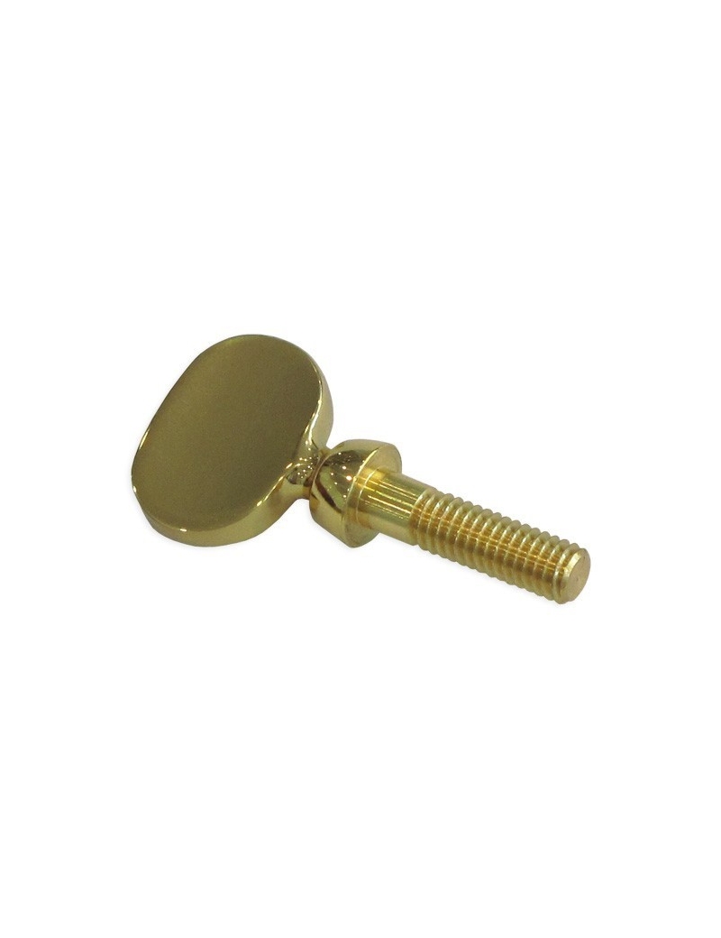 SAXO TORNILLO PARA TUDEL SAXO ALTO/TENOR GENERICO LACADO UNIDAD