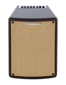 AMPLIFICADOR GUITARRA ACÚSTICA IBANEZ T80II 80W 10" 2540257476011