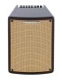 AMPLIFICADOR GUITARRA ACÚSTICA IBANEZ T80II 80W 10" 2540257476011