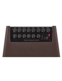 AMPLIFICADOR GUITARRA ACÚSTICA IBANEZ T80II 80W 10" 2540257476011