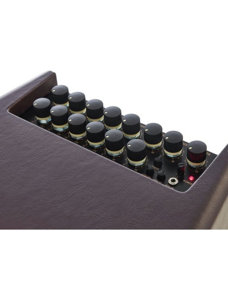 AMPLIFICADOR GUITARRA ACÚSTICA IBANEZ T80II 80W 10" 2540257476011