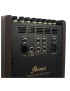 AMPLIFICADOR GUITARRA ACÚSTICA IBANEZ T80II 80W 10" 2540257476011