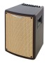 AMPLIFICADOR GUITARRA ACÚSTICA IBANEZ T80II 80W 10" 2540257476011