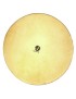PIEL NATURAL BÚFALO LP221B 20" PARA CONGA 11 3/4" ,TAMBORA