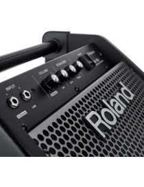 ALTAVOZ MONITOR ROLAND PM-100 PARA BATERÍA