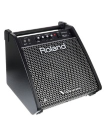 ALTAVOZ MONITOR ROLAND PM-100 PARA BATERÍA