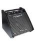 ALTAVOZ MONITOR ROLAND PM-100 PARA BATERÍA