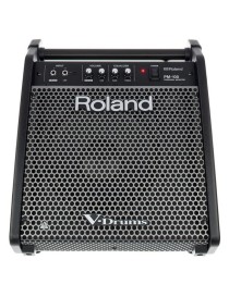 ALTAVOZ MONITOR ROLAND PM-100 PARA BATERÍA