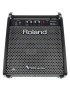 ALTAVOZ MONITOR ROLAND PM-100 PARA BATERÍA