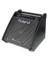 ALTAVOZ MONITOR ROLAND PM-100 PARA BATERÍA