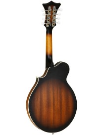 MANDOLINA TANGLEWOOD ELECTRIFICADA TWMFVSE SOMBREADA