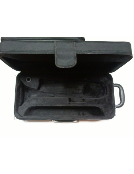 TROMPETA J.MICHAEL TR380 SIb LACADA MODELO PROFESIONAL.COMPLETO CON ESTUCHE