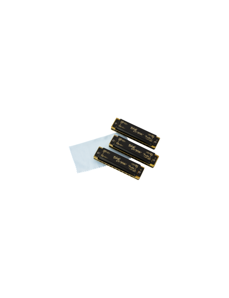 ARMÓNICA SET 3 FENDER BLUE DEVILLE CON ESTUCHE TONALIDAD C- G- A (DO-SOL-LA) 990702021