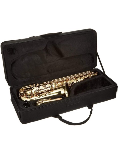 SAXO ALTO J.MICHAEL 500 MIb CON LLAVE DE FA LACADO COMPLETO CON ESTUCHE