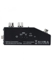 PEDAL BOSS RV-200 REVERB
