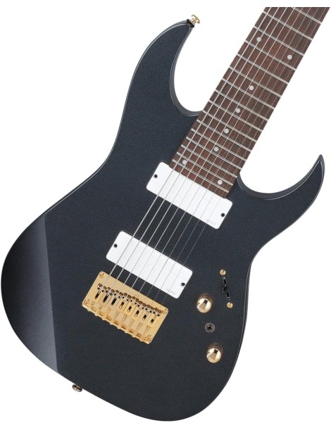 GUITARRA ELÉCTRICA IBANEZ RG80FIPT IRON PEWTER 8 CUERDAS