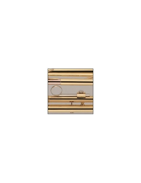 TROMPETA J.MICHAEL TR380 SIb LACADA MODELO PROFESIONAL.COMPLETO CON ESTUCHE