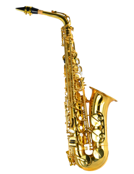 SAXO ALTO AMADEUS AL850 MIb CON LLAVE DE FA DORADO CON ESTUCHE