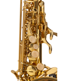 SAXO SOPRANO AMADEUS CURVO SSC690