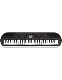 TECLADO CASIO PORTÁTIL...