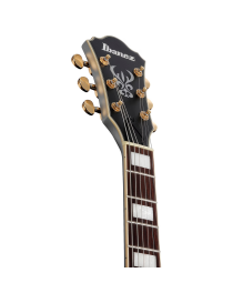 GUITARRA ELÉCTRICA IBANEZ AS73GMSF MOONSTONE SILVER FLAT