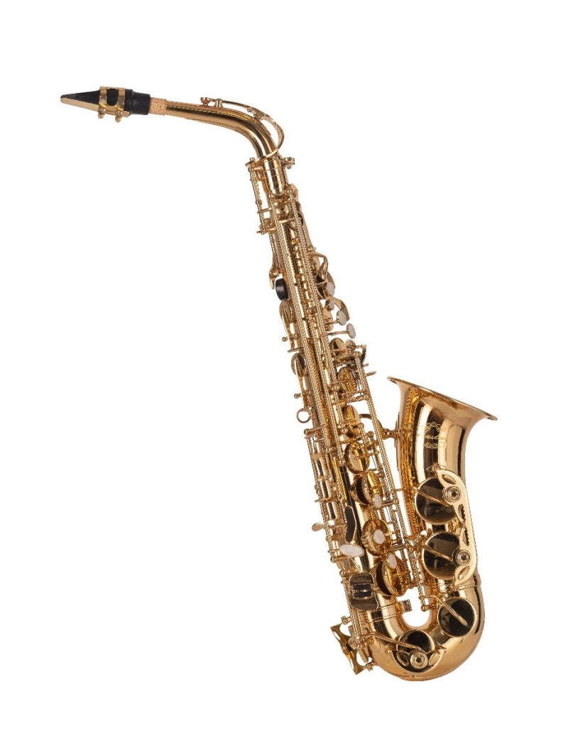 SAXO ALTO AMADEUS AL802L MIb CON LLAVE DE FA DORADO CON ESTUCHE