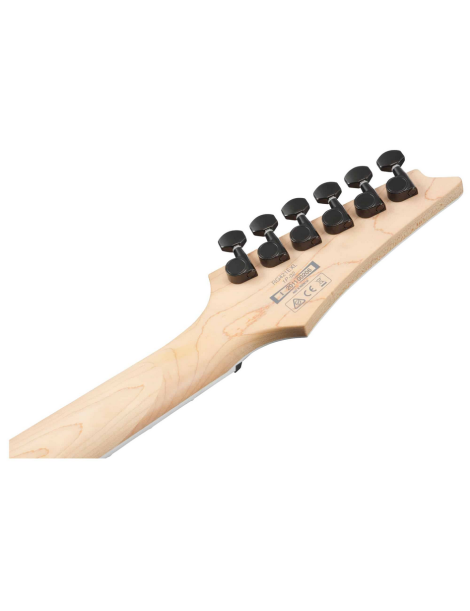 GUITARRA ELÉCTRICA IBANEZ RG421EXBKF NEGRO LISO