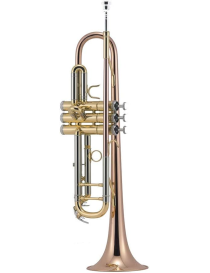 TROMPETA J.MICHAEL TR450 SIb LACADA MODELO MASTER PISTONES MONEL CAMPANA Y TUBO DE BRONCE.COMPLETO CON ESTUCHE
