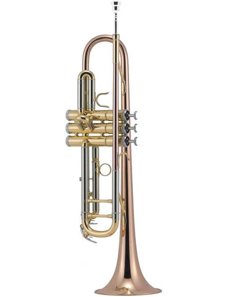 TROMPETA J.MICHAEL TR450 SIb LACADA MODELO MASTER PISTONES MONEL CAMPANA Y TUBO DE BRONCE.COMPLETO CON ESTUCHE
