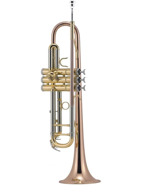 TROMPETA J.MICHAEL TR450 SIb LACADA MODELO MASTER PISTONES MONEL CAMPANA Y TUBO DE BRONCE.COMPLETO CON ESTUCHE