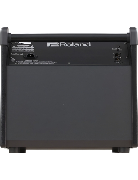 ALTAVOZ MONITOR ROLAND PM-200 PARA BATERÍA 180W RMS 12"