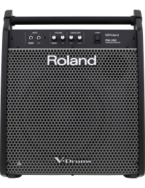 ALTAVOZ MONITOR ROLAND PM-200 PARA BATERÍA 180W RMS 12"