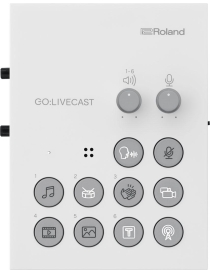 GOLIVECAST ROLAND AUDIO INTERFACE USB
