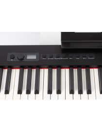 PIANO AMADEUS PA-10 88 TECLAS CONTRAPESADO CON BATERÍA Y BLUETOOTH