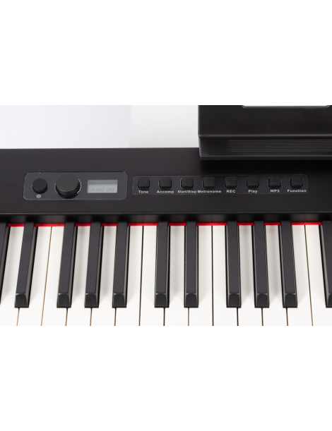 PIANO AMADEUS PA-10 88 TECLAS CONTRAPESADO CON BATERÍA Y BLUETOOTH