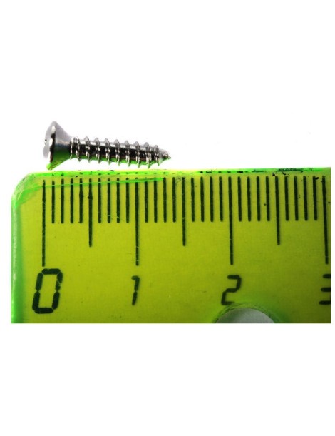 TORNILLO FENDER PARA GOLPEADORES Y TAPAS DE GUITARRA ELÉCTRICA, CROMADOS PACK DE 24 UNIDADES 0994923000